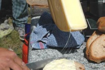 Incontro al passo d'Arbola
