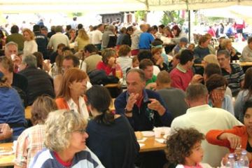 Festa degli Alpini