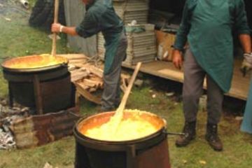 Festa degli Alpini